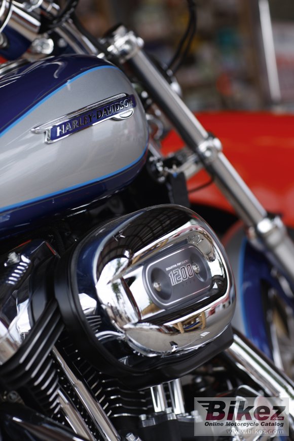 2010 Harley-Davidson XL 1200C Sportster 1200 Custom photo